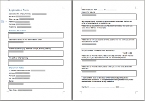 Employment Application Form Template